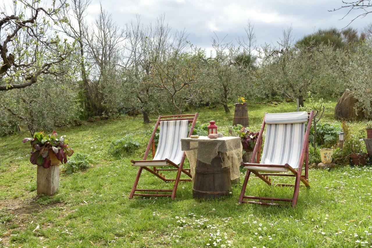 몬티키엘로 Agriturismo Campo Alla Piana 빌라 외부 사진